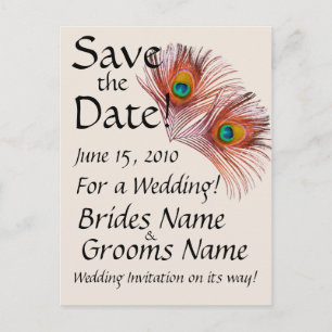 Save the Date Peacock Postcard