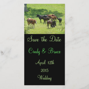 Save The Date Photo Cards