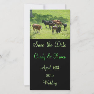 Save The Date Photo Cards