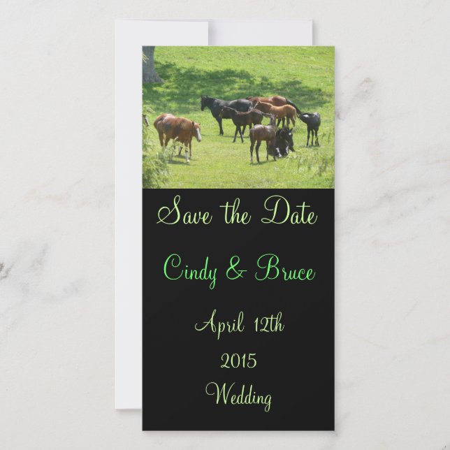 Save The Date Photo Cards (Front)