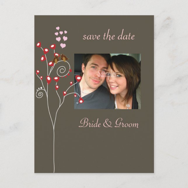 Save the Date Photo postcards, love birds Announcement Postcard (Front)