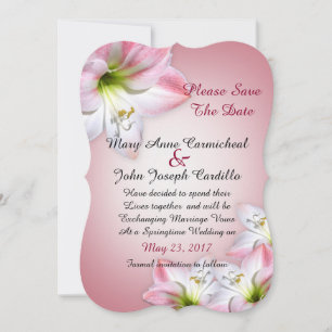 Save the date pink amaryllis