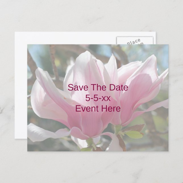 Save The Date Pink Magnolia Flower  Announcement Postcard (Front/Back)