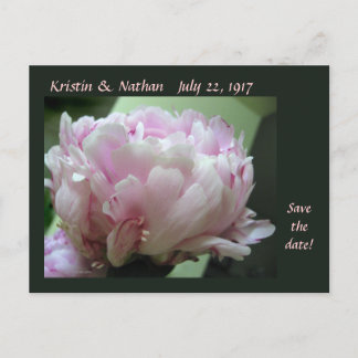 Save the Date Pink Peony Wedding Postcard
