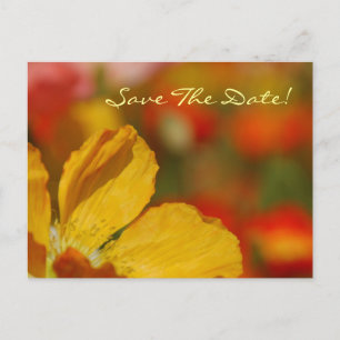 Save The Date Poppy Postcard