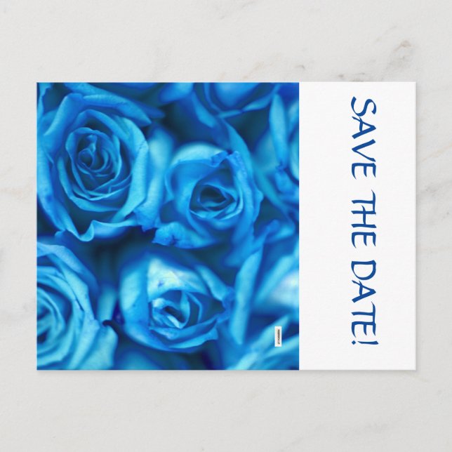 Save The Date Postcard (Front)