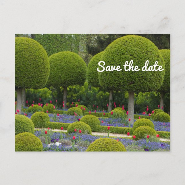 Save The Date Postcard (Front)
