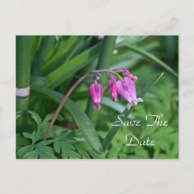 Save the Date Postcard (Front)