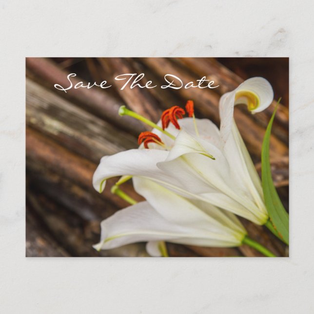 Save The Date Postcard (Front)