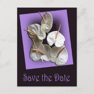 Save the Date postcard 2 - White Anthuriums