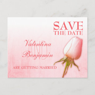 Save the Date Postcard Single Pink Rose Bud