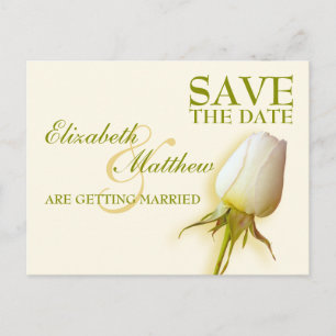 Save the Date Postcard Single White Rose Bud