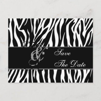 Save the Date Postcard Zebra Black White