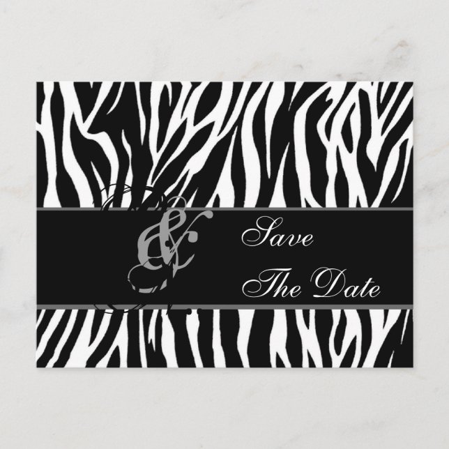 Save the Date Postcard Zebra Black White (Front)