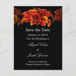 Save the date postcards, orange calla lillies announcement postcard