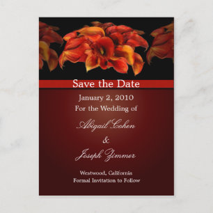 Save the date postcards, orange calla lillies announcement postcard