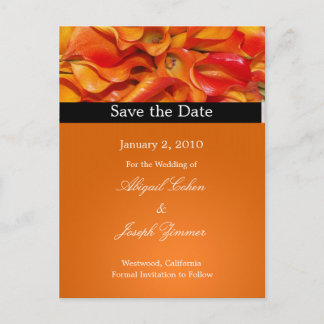 Save the date postcards, orange calla lillies announcement postcard