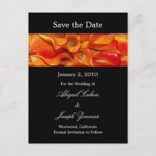 Save the date postcards, orange calla lillies announcement postcard