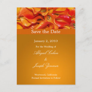 Save the date postcards, orange calla lillies announcement postcard