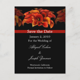 Save the date postcards, orange calla lillies announcement postcard