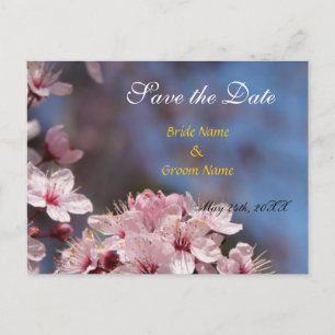 save the date,pretty spring cherry flowers announcement postcard