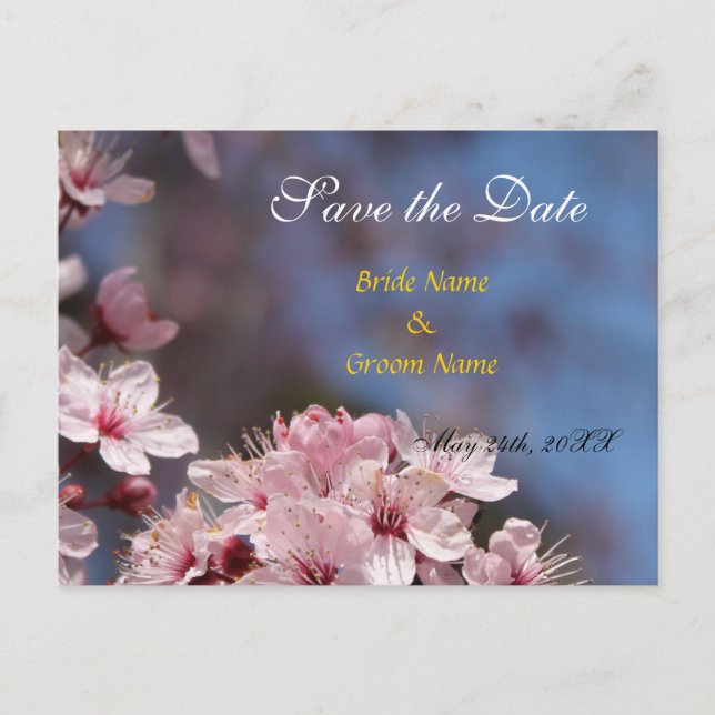 save the date,pretty spring cherry flowers announcement postcard (Front)