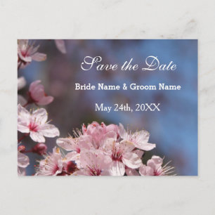 save the date, pretty spring pink cherry flowers announcement postcard