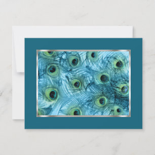 Save the Date Proud as a Peacock Set 1112