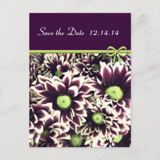 Save The Date Purple and Lime Daisies Announcement Postcard