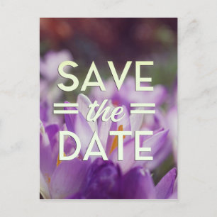 Save the Date Purple Flower Postcard