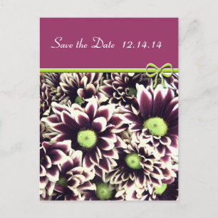 Save The Date Queen Anne's Lace Announcement Postcard