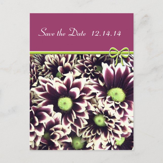 Save The Date  Queen Anne's Lace Announcement Postcard (Front)