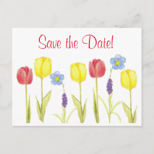 Save The Date Red Yellow Tulip Flowers Announcement Postcard