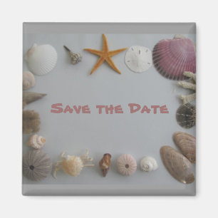 Save the Date/Sea Shells Magnet