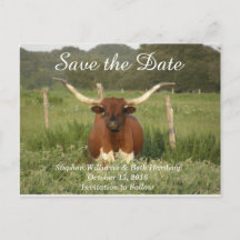 Save the Date Texas Longhorn