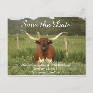 Save the Date Texas Longhorn Announcement Postcard