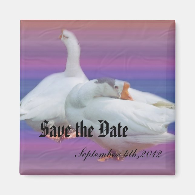 save the date, two white geese in fancy  backgrou magnet (Front)