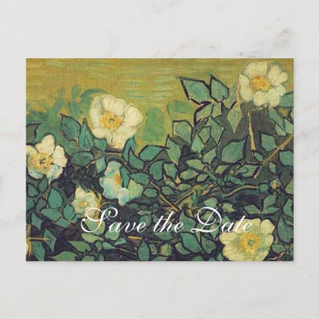 save the date, van Gogh wild roses Announcement Postcard (Front)