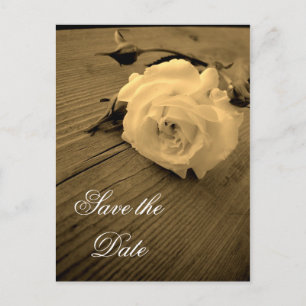 Save the Date Vintage Sepia White Rose Postcard