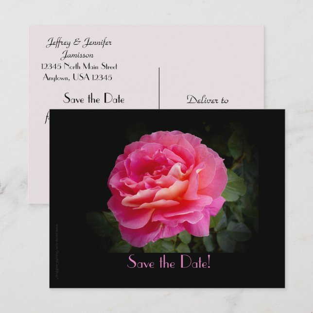 Save the Date Vow Renewal Ceremony Pink Rose Announcement Postcard (Front/Back)