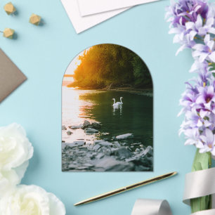 Save The Date/ Wedding Acrylic Invitations