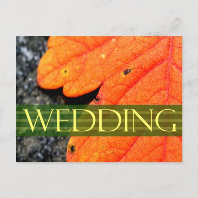 Save The Date Wedding Card (Front)