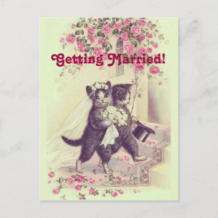 Save the Date Wedding Cats Postcard