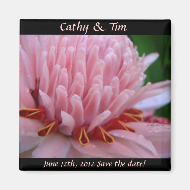 Save the Date Wedding Magnets Pink Ginger (Front)