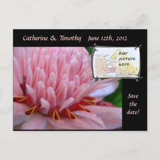 Save the Date Wedding Postcards Custom Photo
