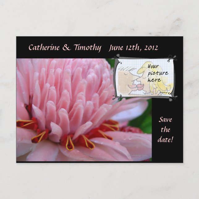 Save the Date Wedding Postcards Custom Photo (Front)