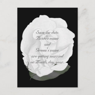 Save the date wedding postcards, white rose announcement postcard