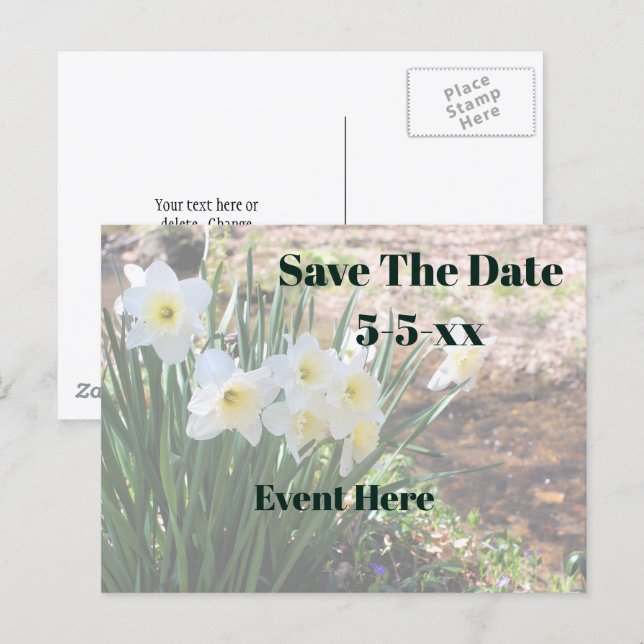 Save The Date White Daffodil Flowers Announcement Postcard (Front/Back)
