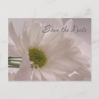 Save the Date - White Daisies Announcement Postcard