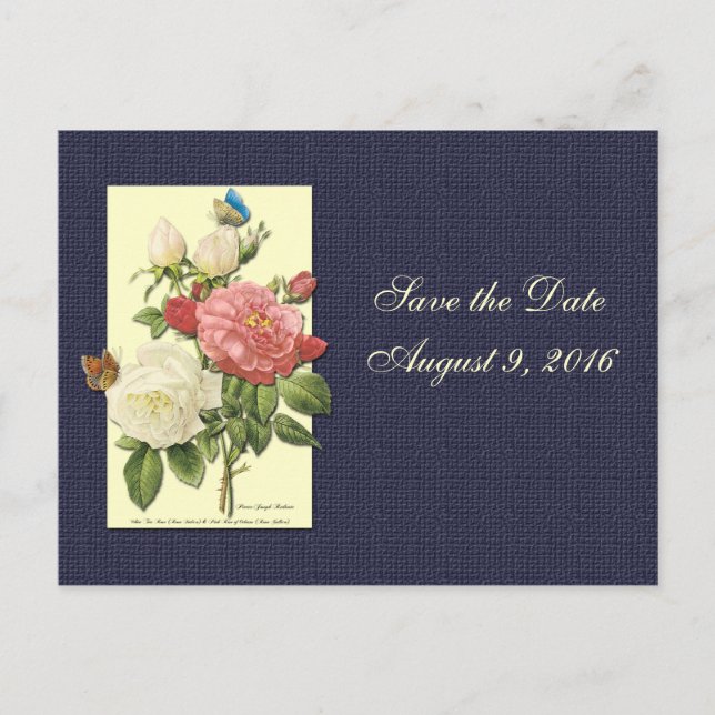 Save the Date White Red Roses Postcard (Front)